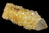 Sunshine Cactus Quartz Crystal - South Africa #115130-1